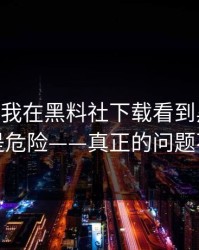 最近——我在黑料社下载看到黑料，第一反应是危险——真正的问题不在表面
