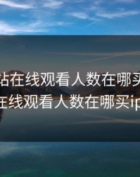 免费网站在线观看人数在哪买，免费网站在线观看人数在哪买iphone