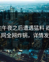 主持人在午夜之后遭遇猛料 欲望升腾，91网全网炸锅，详情发现