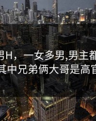 一女多男H，一女多男,男主都很强大,其中兄弟俩大哥是高官