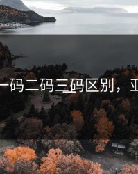 亚洲码一码二码三码区别，亚洲元码一