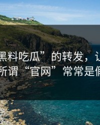 一条“黑料吃瓜”的转发，让我明白了所谓“官网”常常是假冒