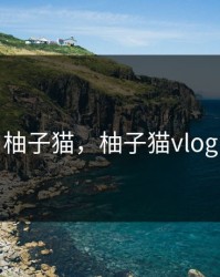 柚子猫，柚子猫vlog