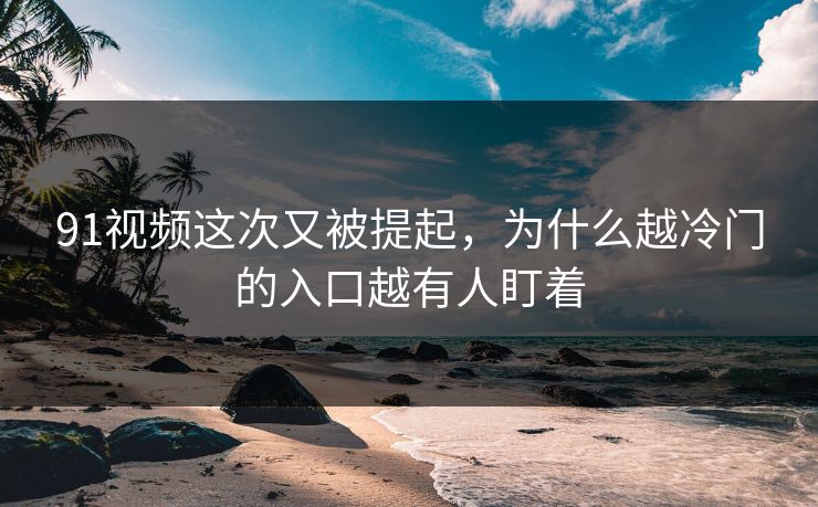 91视频这次又被提起，为什么越冷门的入口越有人盯着